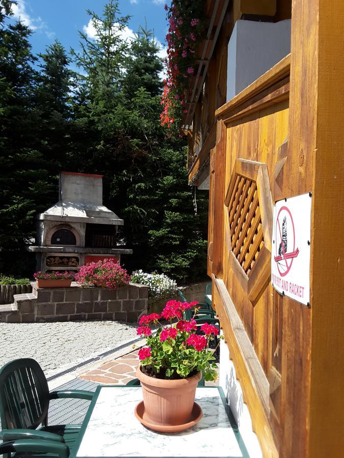 Chalet Brigitte B&B Arabba Εξωτερικό φωτογραφία